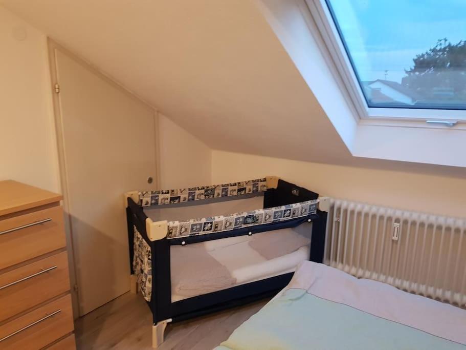 Gemuetliche Wohnung Bei Bad Waldsee Mit Balkon Kültér fotó